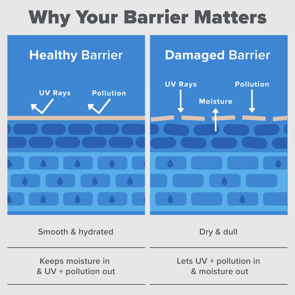 Paula's Choice RESIST Barrier Repair packaging box.