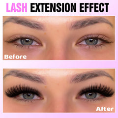 Pawotence lash bond and seal for secure, long-lasting hold