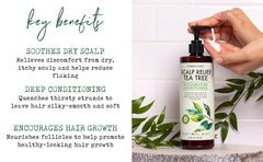 PHARM TO TABLE Tea Tree Conditioner ingredients including tea tree, sunflower, aloe and argan oils