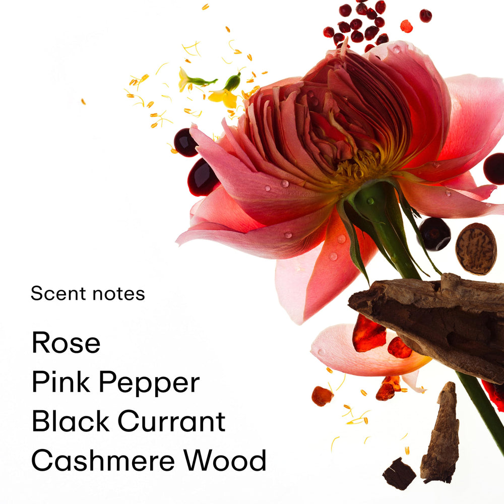 PHLUR Rose Whip reveals warm amber and cashmere wood base.
