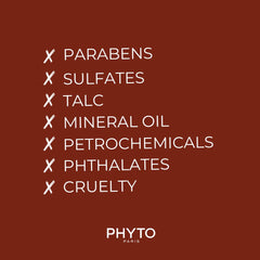 PHYTO PRO STYLE Laque Soie on-the-go spray for quick touch-ups.