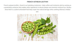Pistaché Skincare moisturizer applied to skin for quick absorption.
