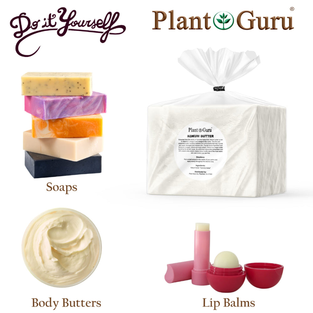 Plant Guru kokum butter soap-making ingredient for creamy bars.