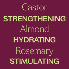 Plant Therapy Sweet Almond Oil ingredient highlight enhances hydration.