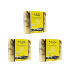 Plantlife Cassia Clove 3-Pack Bar Soap with warm cinnamon-clove swirl for comforting cleansing.