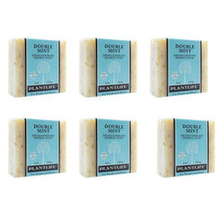 Plantlife Double Mint 6-Pack packshot showing refreshing bars for daily cleansing.