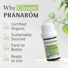 Pranarom Rosemary Cineole with organic certifications, trusted source for pure essential oil.