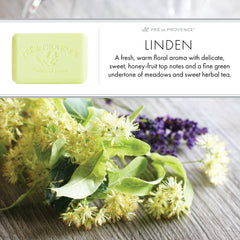 Creamy lather soap for hands and body