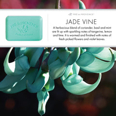 Elegant gift-ready presentation of Pre de Provence soap for special occasions