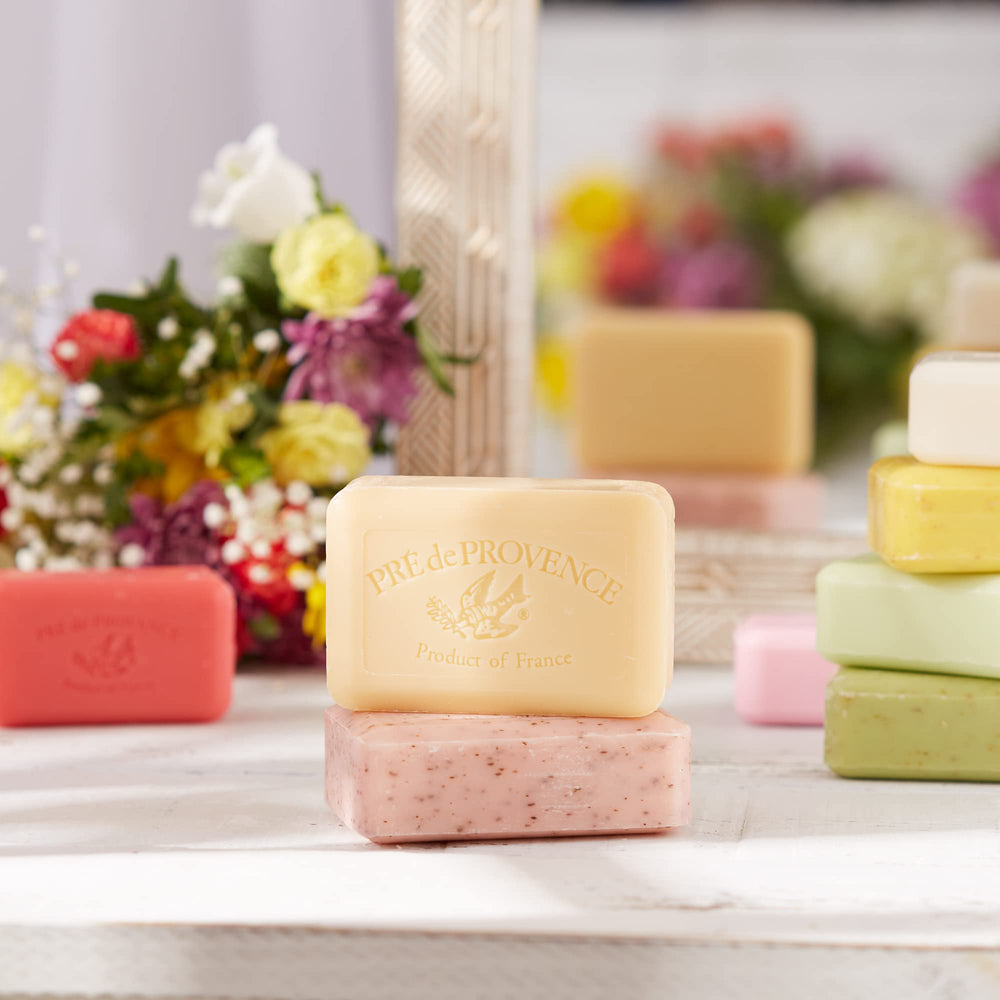 Versatile use as body soap or guest hand soap in home