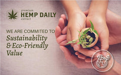 Dollop on hand with Premium Hemp Extract Daily Intensive Cream showing quick absorption