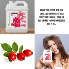 Premium Nature Rosehip Oil label closeup highlighting organic quality