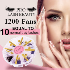 PRO LASHBEAUTY beginner-friendly premade fans for practice and client work.