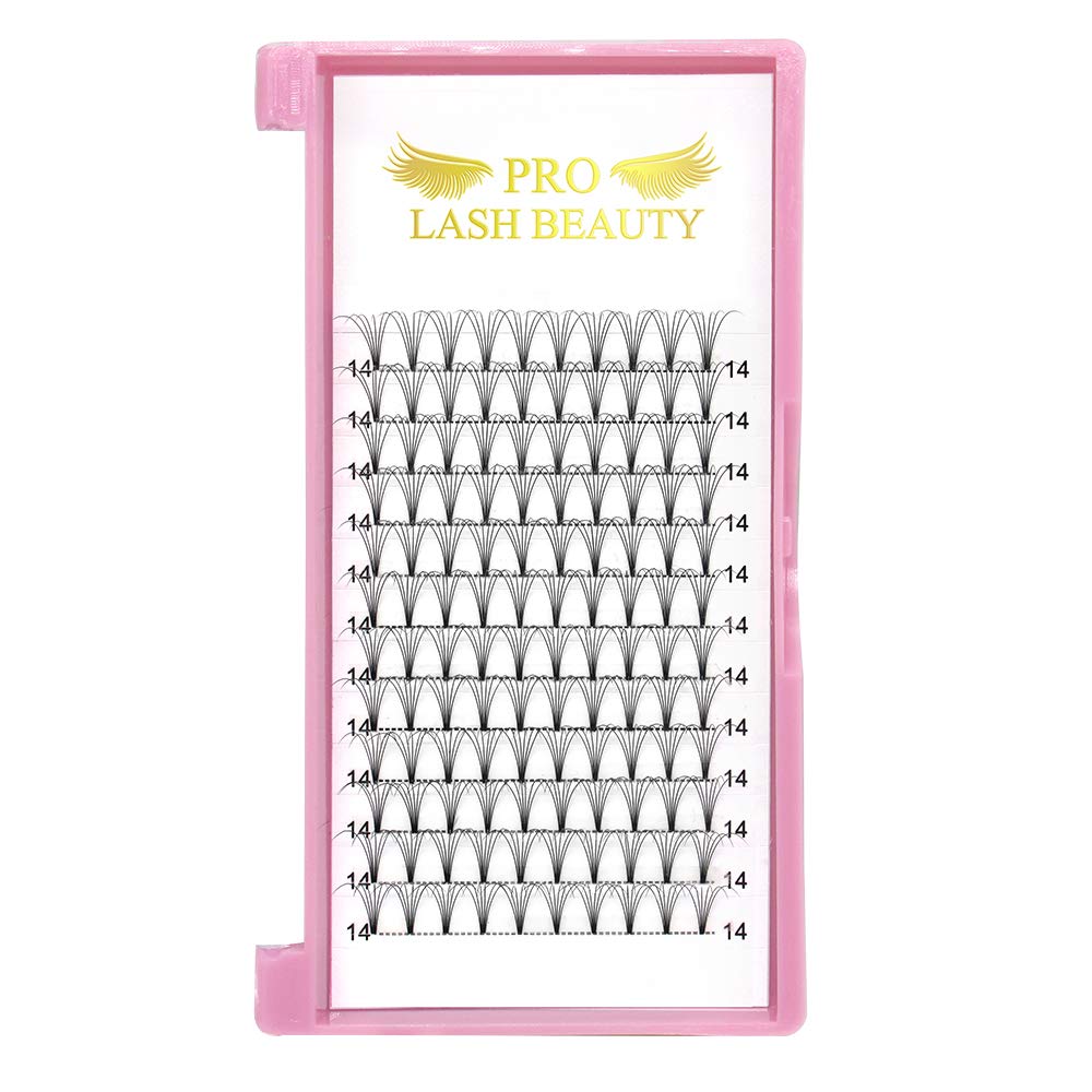 PRO LASHBEAUTY Premade Fans premium packaging and storage