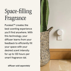 Pura diffuser with Vanilla Fleur refill delivers steady scent throughout the day.