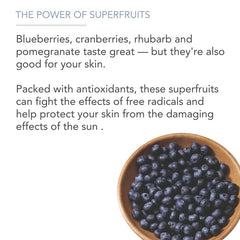 Blueberries and aloe vera visible in Pure Body Naturals Superfruit Smoothie Scrub for antioxidant support