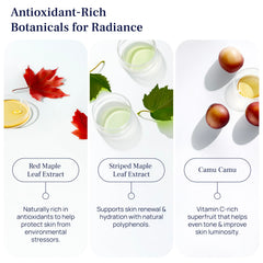 Pureance babchi seeds featured for botanical strength