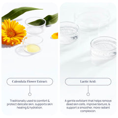 Pureance Cleansing Foam glycerin-lactic-acid blend supports hydration and gentle exfoliation