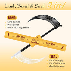 QUEWEL beginner-friendly kit layout shows all essential tools for DIY lash.