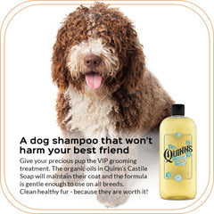 Quinn's Unscented Castile demonstrates multi-use versatility for body care and cleaning