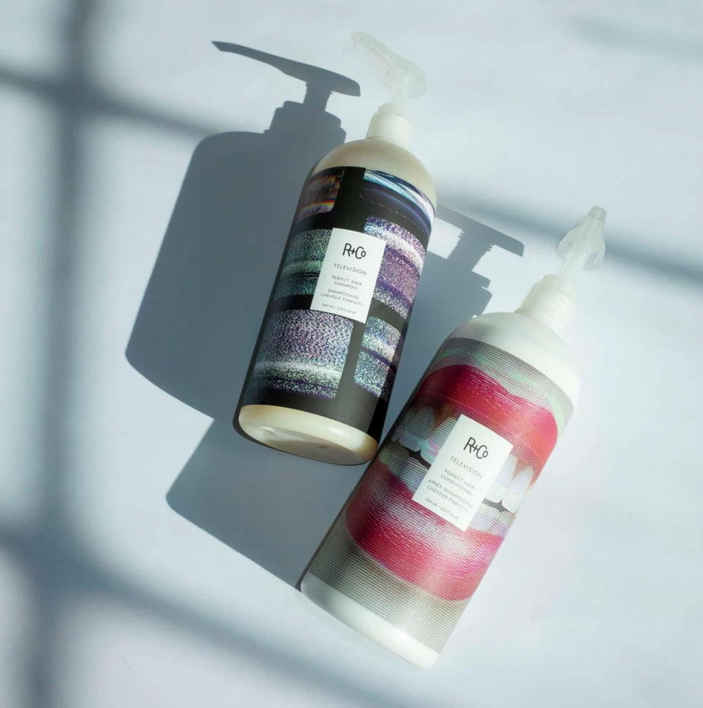 Styled roots lifted, revealing added volume from R+Co Television Set.