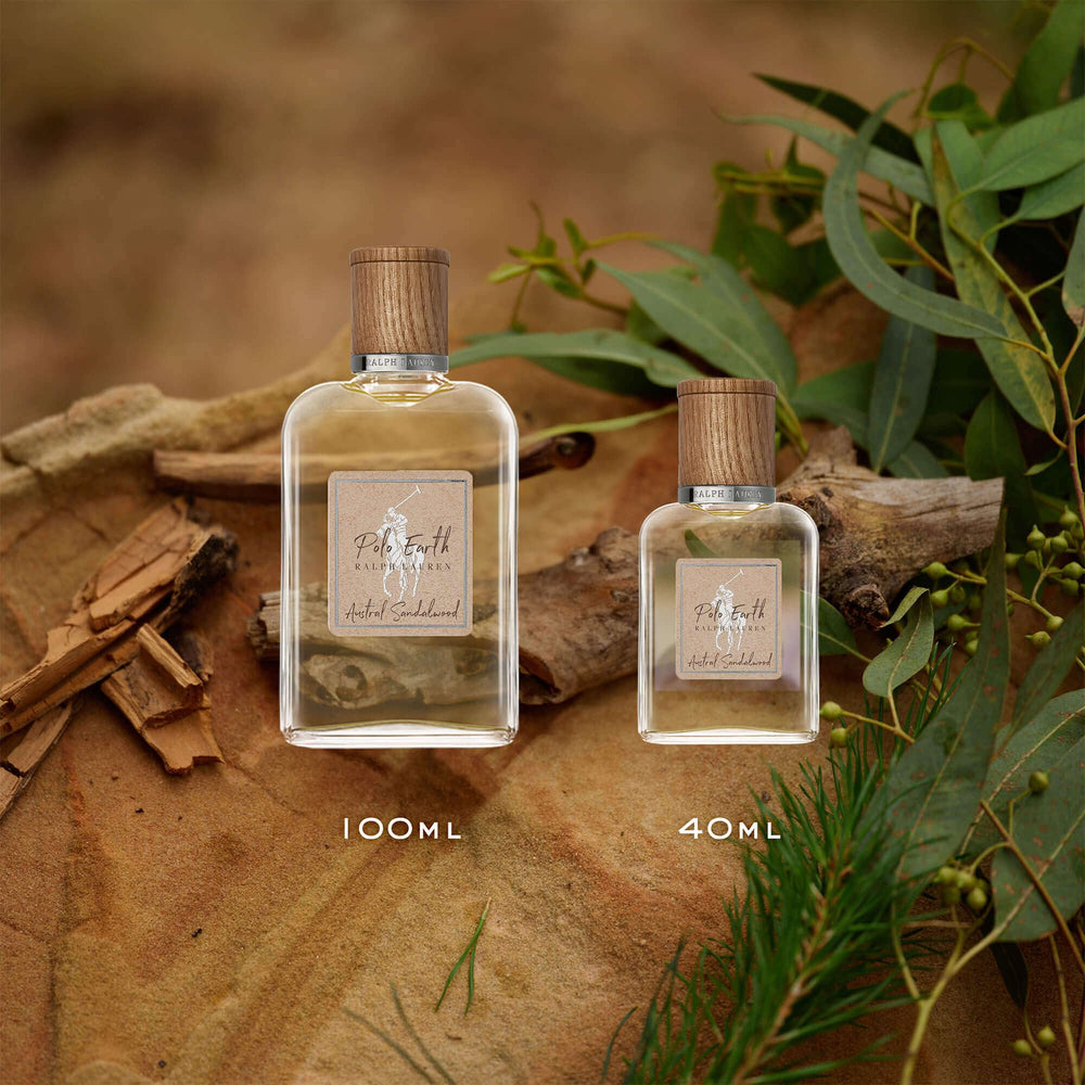 Ralph Lauren Polo Earth bottle focuses on sandalwood notes with forest-inspired depth