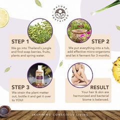 Raw plants and wildcrafted fruits showcased for skin-friendly botanicals