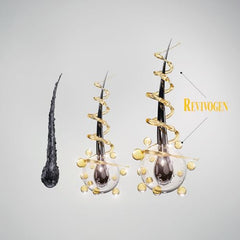 Revivogen MD Bio-Cleansing Shampoo lather demonstrates cleansing action for buildup-free roots