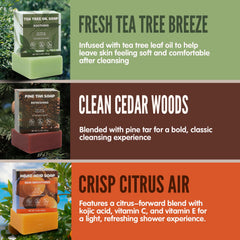 Rinse & Robust sandalwood bar delivering a warm, smooth cleanse.