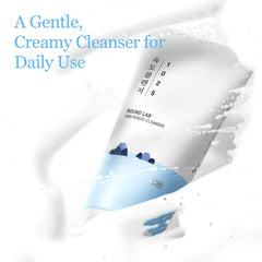 Round Lab 1025 Dokdo Cleanser bottle back detailing ingredients and usage