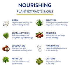 Routine Wellness plant-based formula iconography highlighting gluten-free and vegan features
