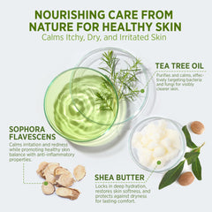 Roycederm tea tree leaves closeup emphasizing natural plant-based care