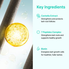 Ruminae peptides promote fuller-looking lashes and brows.