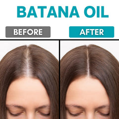 SAHAK Batana oil on hair strands for smoothness