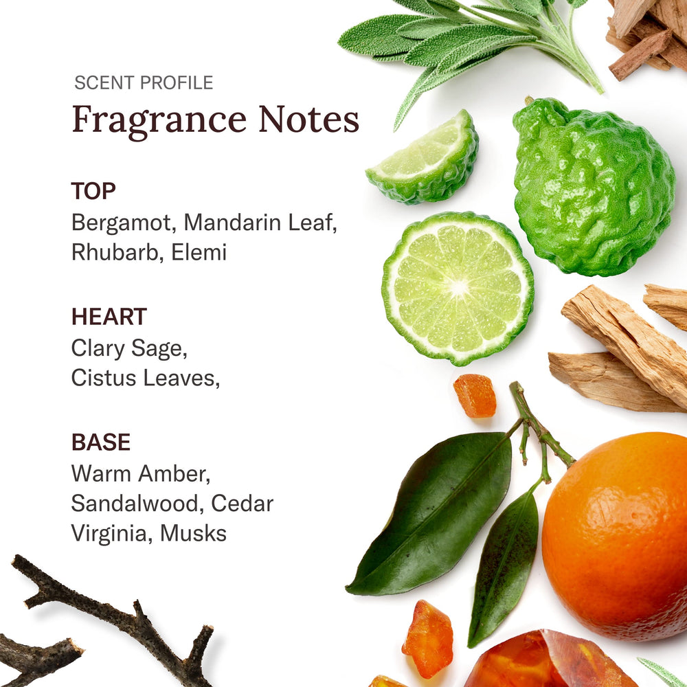 SCENT BEAUTY Stetson Deep Clean bottle side label highlights clarifying care