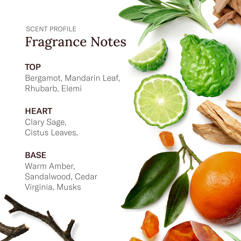SCENT BEAUTY Stetson foamy lather in hand demonstrates easy two-in-one wash.