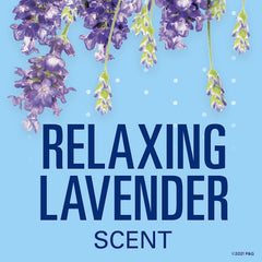 Secret Lavender invisible solid three-pack packaging shown for daily use.