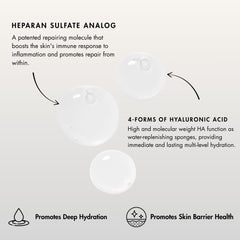 Sente Hydrate+ Serum applying motion illustrating light, non-greasy absorption.