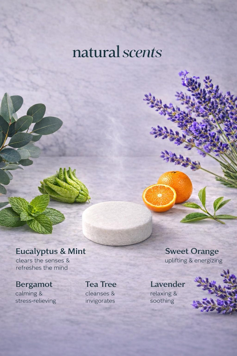 SENTEA sweet orange steamer with uplifting citrus aroma for mornings