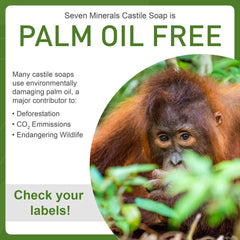 Peppermint Castile Soap bottle pictured for baby-safe cleansing.