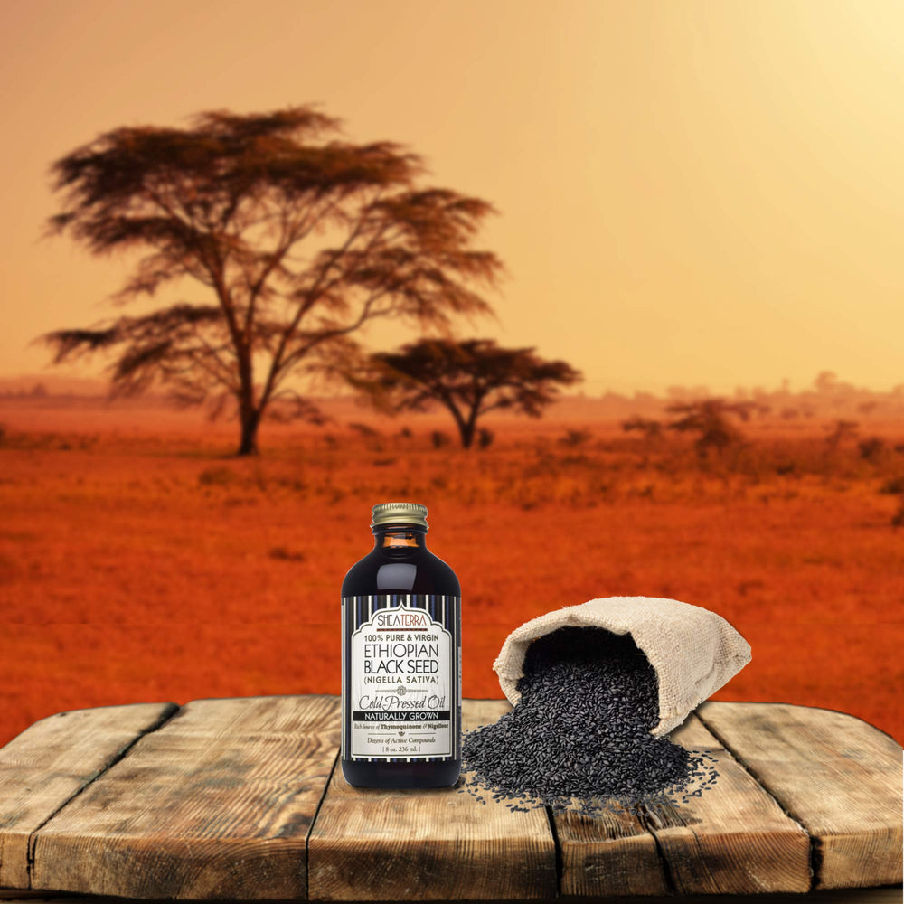 Dropper of Shea Terra Ethiopian Black Seed Oil, may nourish the scalp