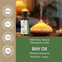 Sheer Essence Bay Oil diffuser scene highlighting vibrant aromatherapy