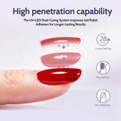 SHEXNAIL UV Nail Lamp oversized chamber fits hands and feet