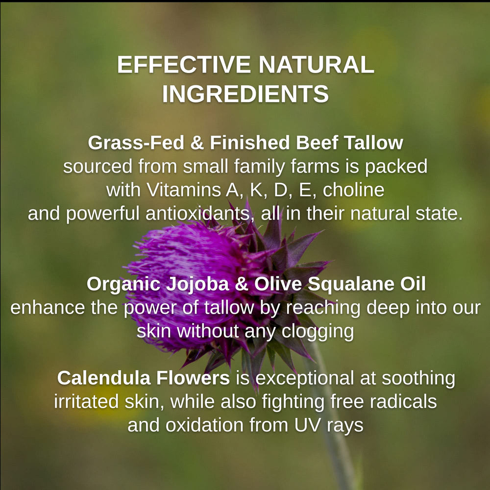 Calendula flowers featured in Shwally balm for gentle skin support during sun exposure