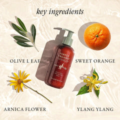 SIMPLY ORGANIC Volume Shampoo scent profile with citrus and ylang-ylang aroma