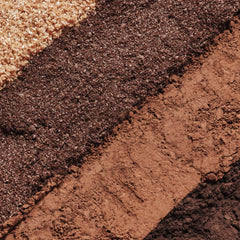 Sisley Paris Phyto-Eye Palette glitter finish swatch for sparkling evenings