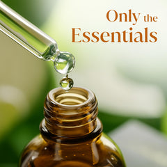 SIVA Carrot Seed Oil 4oz on shelf display in retail setting