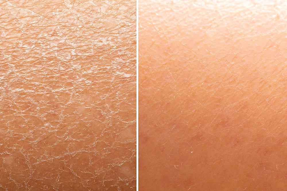 Skin And Senses Shine oil texture close-up shows light, non-oily finish