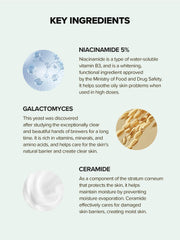 SKINFOOD 1957 pore area close-up after use shows refinement.