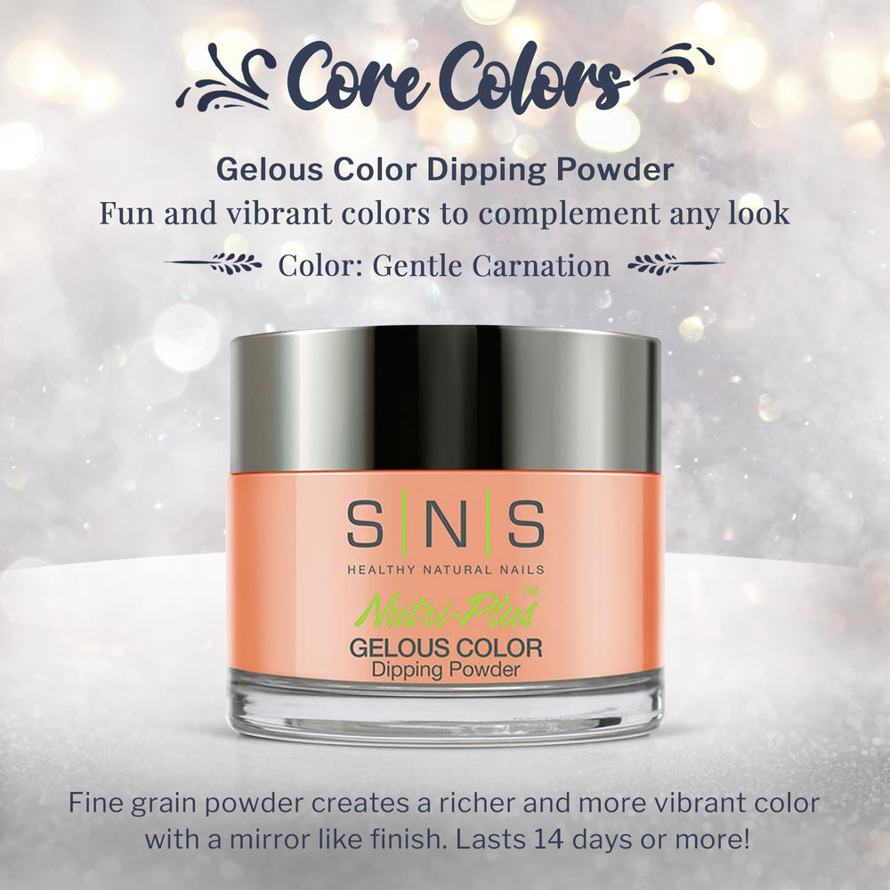 SNS Nail Dip Powder Gentle Carnation swatches reveal creamy nude tones for everyday wear.